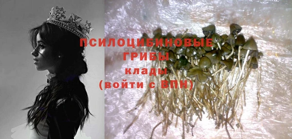 трава Дмитров