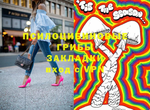 меф Дмитриев