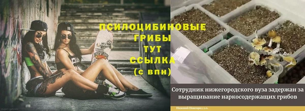 трава Дмитров