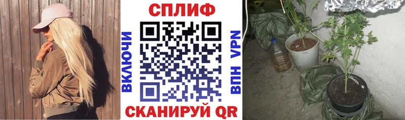 Канабис конопля Купить где Курильск